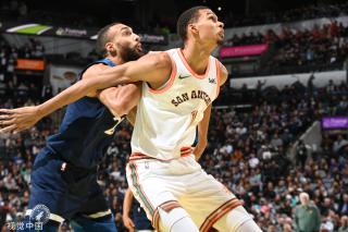 的观赏性 的观赏性