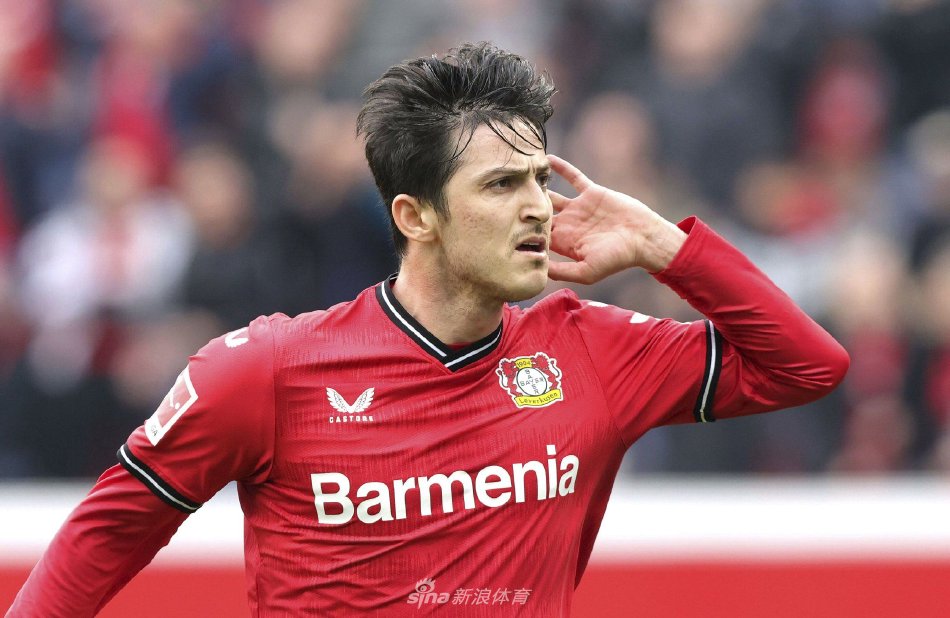 在高水平的 在高水平的